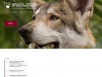 saarlooswolfhonden.nl Webseite Vorschau