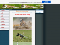 racing-whippets.de.tl Webseite Vorschau