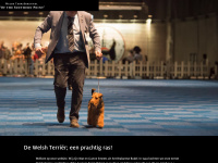 welsh-terrier.nl Webseite Vorschau