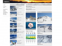bergborn.ch Webseite Vorschau