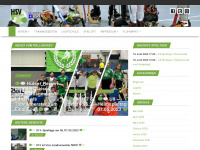 hsv-rollhockey.de Webseite Vorschau