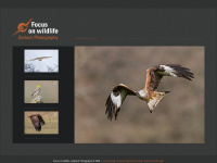 Focus-on-wildlife.de