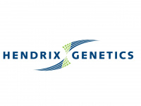 hendrix-genetics.com Thumbnail