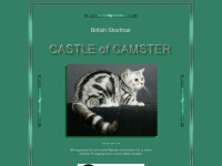 castle-of-camster.de Webseite Vorschau