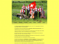 streichmusikedelweiss.ch