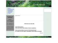 brionnais71.fr Webseite Vorschau