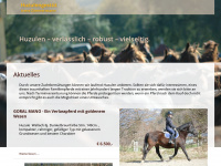 reitzentrum.com Webseite Vorschau