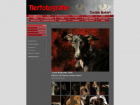 tierfotografin.ch Webseite Vorschau