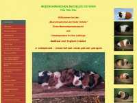 meerschweinchen-am-kieler-ostufer.de Webseite Vorschau