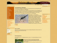 schatzsucher.de Webseite Vorschau