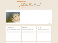 dog-shots.de Webseite Vorschau