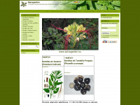 spicegarden.eu Webseite Vorschau