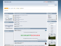 itzehoe-live.net Webseite Vorschau