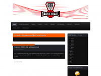 btsneustadt-basketball.de Webseite Vorschau