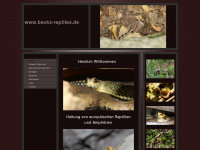 becks-reptiles.de Webseite Vorschau