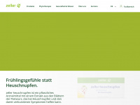 zellerag.ch Webseite Vorschau