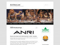 anri-store.com Webseite Vorschau