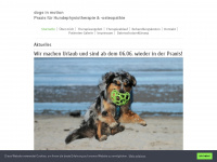 dogsinmotion-bruehl.de Webseite Vorschau