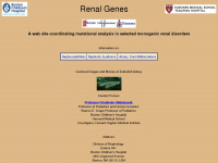 renalgenes.org Webseite Vorschau