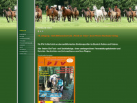 pferde-im-visier.de Webseite Vorschau