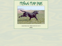 flying-flap-ears.de Webseite Vorschau