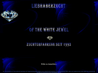 white-jewel.ch Webseite Vorschau