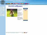 uci-ev.de Webseite Vorschau