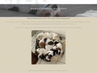 beagle-bunch.de Thumbnail