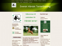 irish-terrier.se Webseite Vorschau