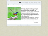 vogelverein-ottenau.de Webseite Vorschau
