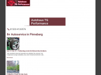 tg-performance.de Webseite Vorschau