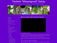 tierheim-ostrau.de Webseite Vorschau