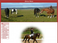 pferde-reiter-trainer.de Webseite Vorschau