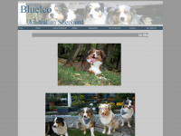 bluelco.de Webseite Vorschau