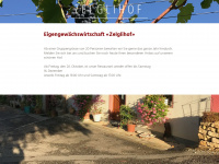 zelgli.ch Webseite Vorschau