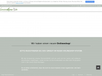 geruchsentferner24.de Webseite Vorschau