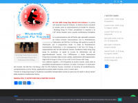 kungfu-ti.ch Webseite Vorschau