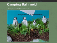 camping-meiringen.ch Webseite Vorschau