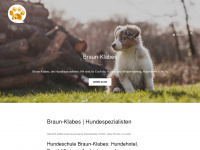 braun-klabes.de Webseite Vorschau