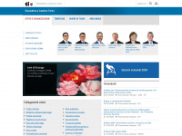 www4.ti.ch Webseite Vorschau