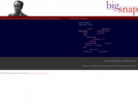 bigsnap.com Webseite Vorschau