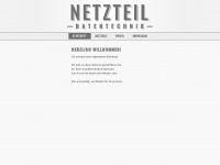 netzteil.com Webseite Vorschau