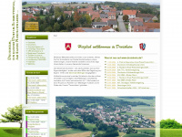 druisheim.de Webseite Vorschau