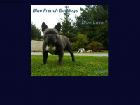 bluefrenchbulldogs.de Thumbnail