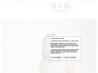 bigzh.ch Webseite Vorschau