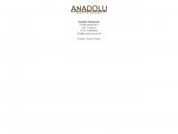 anadolu-kassel.de Webseite Vorschau