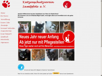 katzenschutzverein-samtpfote.de Webseite Vorschau