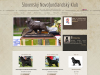 newfoundland-sk.com Webseite Vorschau