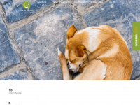 kreta-hunde.de Webseite Vorschau