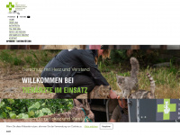 stie.ch Webseite Vorschau